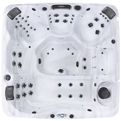 Avalon EC-867L hot tubs for sale in Concord